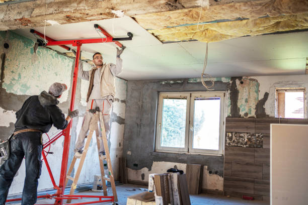 Best DIY Insulation Kits and Guidance in Walford, IA